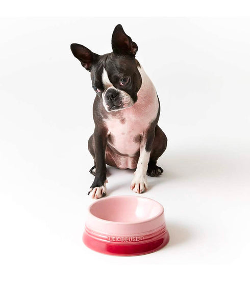 Le Creuset(ル・クルーゼ)PET BOWL M/ペットボウル
